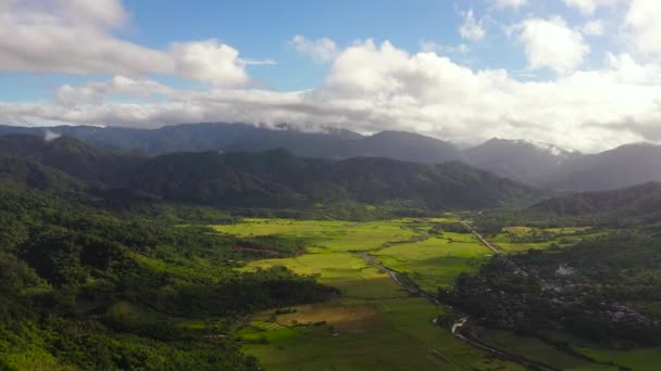 농경지와 과푸른 필리핀 — 비디오