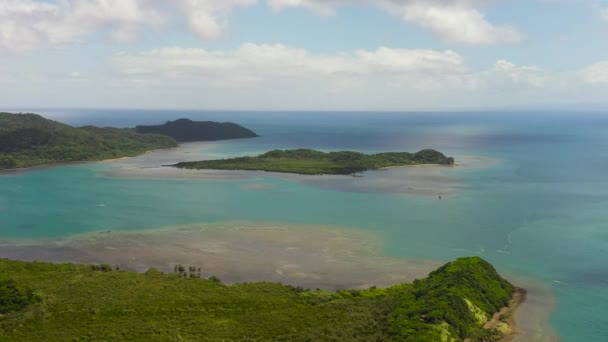 Vista Aerea Dell Isola Con Foresta Pluviale Giungla Isola Palaui — Video Stock