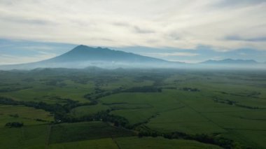 Aerial view of sugarcane plantations against the backdrop of mountains during sunrise. Negros, Philippines