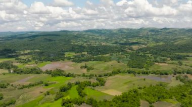 Vadi manzarası, tarım arazisi ve şeker kamışı tarlaları. Zenciler, Filipinler
