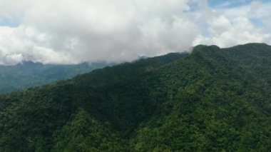 Filipinler 'deki dağlar ve yeşil tepeler. Dağların yamaçlarında hep yeşil bitkiler olur. Zenciler..