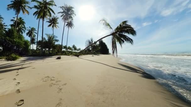 Песчаный Пляж Пальмами Морским Серфингом Волнами Пляж Пасир Путих Суматра — стоковое видео