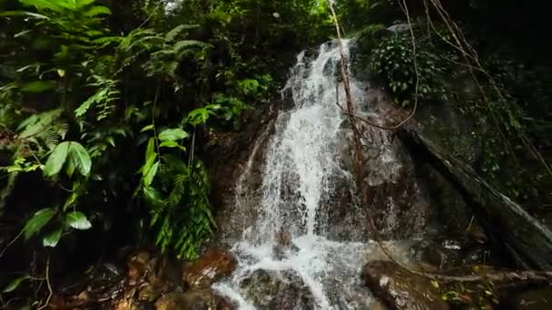 Waterval Jungle Bukit Lawang Sumatra Indonesië — Stockvideo