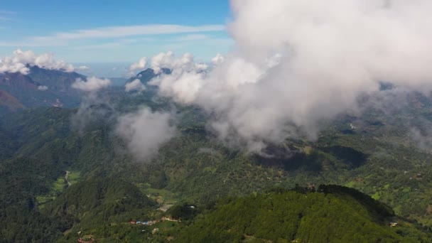 Picos Montanha Cobertos Com Floresta Cima Filipinas — Vídeo de Stock