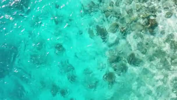 Eau Cristalline Mer Tropicale Lagon Bleu Surface Eau — Video