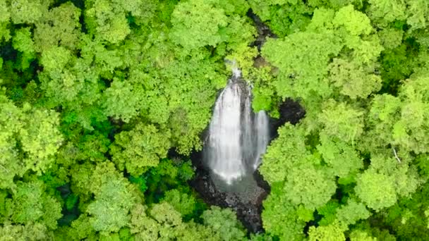 우림의 아름다운 폭포의 꼭대기에 필리핀의 발라바크 — 비디오