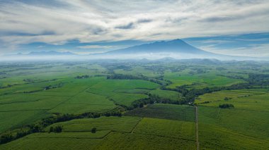 Şeker kamışı tarlaları güneş doğarken yukarıdan dağların arka planına bakıyor. Zenciler, Filipinler