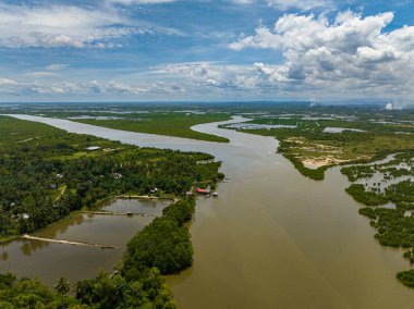 Tarlaları ve pirinç tarlaları olan bir kırsal. Sumatra. Endonezya.