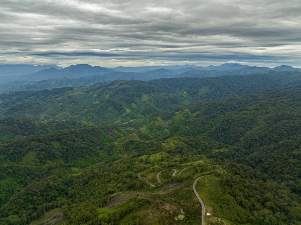 Tropiklerde Yeşil Ormanı Ağaçları Olan Dağların Tepelerin Insansız Hava Aracı — Stok fotoğraf