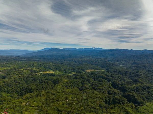 Trópusi Táj Hegyek Mezőgazdasági Területek Trópusokon Bukittinggi Szumátra Indonézia — Stock Fotó