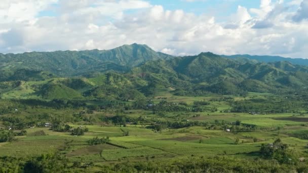 Κάτοψη Της Γεωργικής Γης Και Των Βουνών Πράσινο Δάσος Negros — Αρχείο Βίντεο