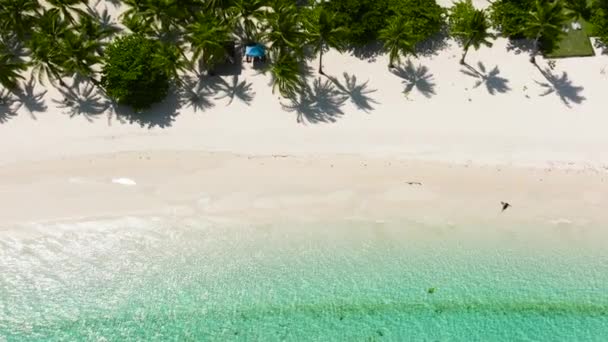 Vista Aérea Bela Praia Com Palmeiras Nos Trópicos Ilha Bantayan — Vídeo de Stock