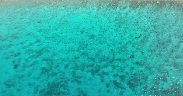 Lagoa Com Água Azul Turquesa Recife Coral Dia Ensolarado Indonésia — Vídeo de Stock
