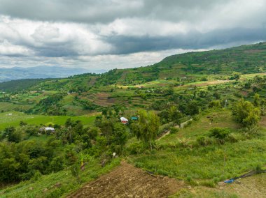 Dağlık arazideki tarımın havadan görünüşü. Çiftlik arazileri ve pirinç tarlaları. Zenciler, Filipinler