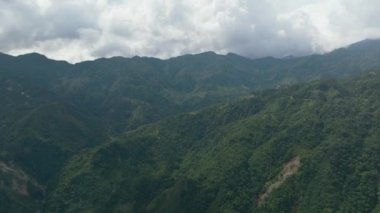 Mountains and hills with green vegetation and trees in the tropics. Negros, Philippines