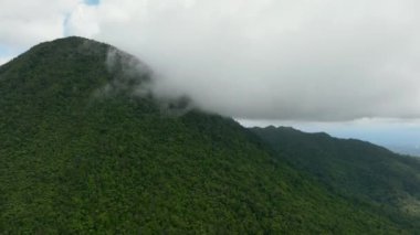 Yeşil orman ve bulutlarla dağların ve tepelerin en üst manzarası. Zenciler, Filipinler