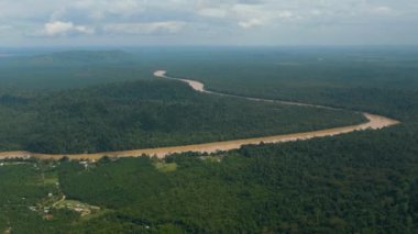 Kinabatangan nehri yağmur ormanları ve ormanların arasında. Borneo, Malezya.