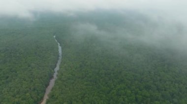 Yağmur ormanlarındaki nehrin bulutlar arasındaki hava görüntüsü. Tropik manzara ve orman. Borneo, Malezya.