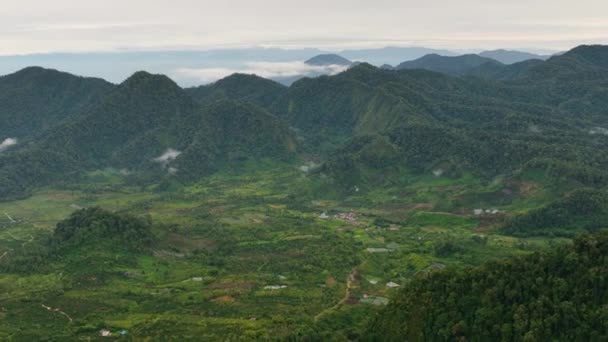 山林丛中有农田 苏门答腊印度尼西亚 — 图库视频影像