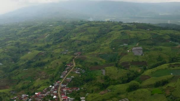 Top Kilátás Teaültetvények Domboldalon Hegyekben Szumátra Tea Birtok Táj Kayu — Stock videók