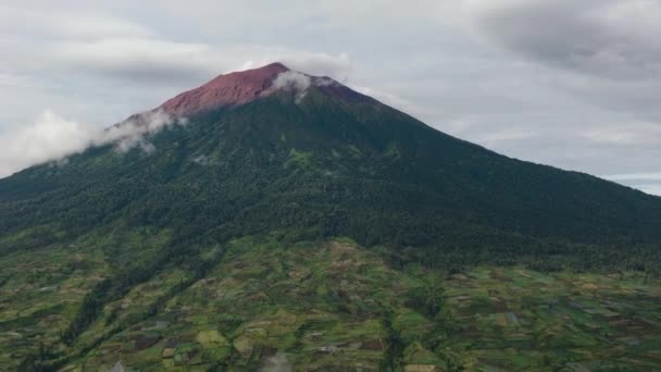 Pemandangan Udara Lahan Pertanian Dan Perkebunan Teh Sebelah Gunung Kerinci — Stok Video