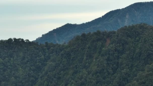 Vue Aérienne Des Montagnes Avec Forêt Tropicale Jungle Volcan Sibayak — Video