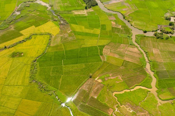 Vista Aérea Terras Agrícolas Campos Arroz Áreas Rurais Filipinas — Fotografia de Stock