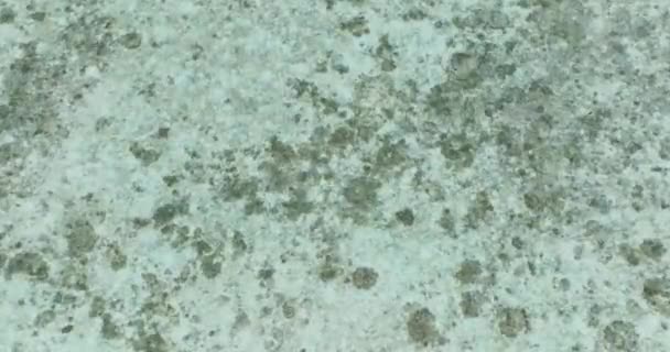 Вид Воздуха Поверхность Морской Воды Лагуне Коралловым Рифом Борнео Малайзия — стоковое видео