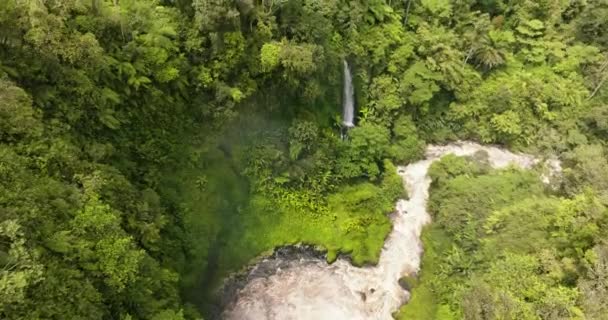 热带雨林中瀑布和河流的空中景观 印度尼西亚 Jambi Sumatra — 图库视频影像