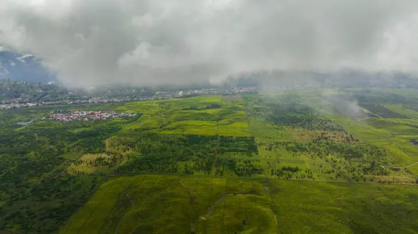Top View Tea Plantations Hillsides Mountains Sumatra Tea Estate Landscape — Stock Photo, Image