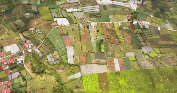 Perkebunan Teh Dan Lahan Pertanian Sumatera Kayu Aro Indonesia — Stok Video