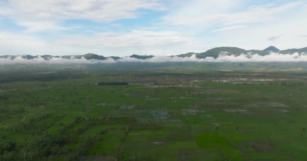 Деревня Сельскохозяйственными Угодьями Рисовыми Полями Суматра Индонезия — стоковое видео