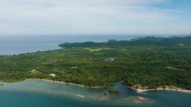 Orman ve yukarıdan tropikal orman manzaralı kıyı şeridi. Borneo. Sabah, Malezya.