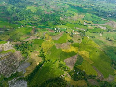 Houses of farmers among rice fields and farmlands. Negros, Philippines.