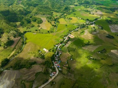 Bir dağ vadisinde çiftçiliğin ve büyüyen bitkilerin havadan görünüşü. Zenciler, Filipinler