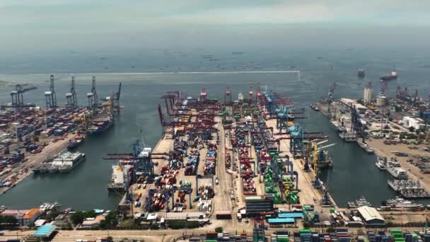 Tengeri Teherkikötő Konténerekkel Darukkal Tanjung Priok Kikötő Indonézia — Stock videók