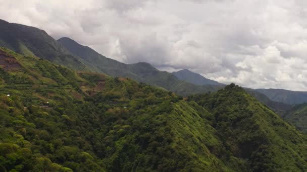 Vers Groen Blad Tropische Planten Bomen Bedekken Bergen Ravijn Filippijnen — Stockvideo