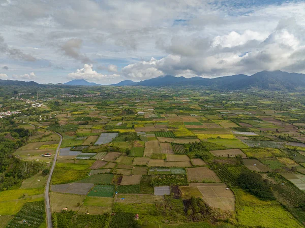 苏门答腊农村的农田和农田 印度尼西亚 贝拉斯塔吉 — 图库照片