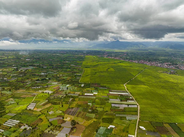 stock image Top view of tea estates and farmland in Sumatra. Tea plantations. Kayu Aro, Indonesia.