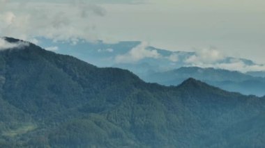 Dağlarda ve orman tepelerinde tropik yeşil orman. Sumatra. Endonezya.