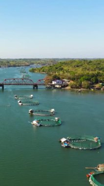 Balık ve karides için kafesli balık çiftliği. Bangus için balık göleti, süt balığı. Çiftçilik, su ürünleri ya da piskoposluk uygulamaları. Filipinler, Luzon. Dikey video.
