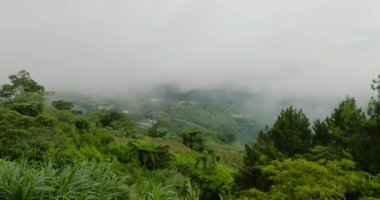 Dağlardaki bulutların arasından tarlaların havadan görünüşü. Borneo, Sabah, Malezya.