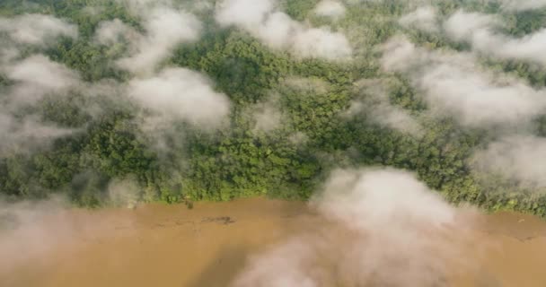 Vista Superior Del Río Entre Selva Tropical Selva Través Las — Vídeo de stock