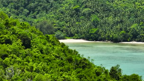热带的沙滩和绿松石水 马来西亚婆罗洲 — 图库视频影像