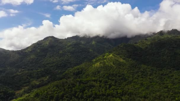 Вид Воздуха Зеленый Лес Джунгли Склонах Гор Шри Ланки — стоковое видео