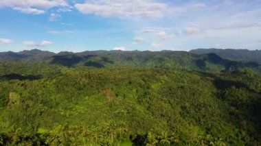 Bulutlu dağ manzarası. Filipinler, Leyte Adası 'ndaki dağ manzarası. Tropikal bir adada Evergreen Ormanı. Yaz ve seyahat tatil konsepti.
