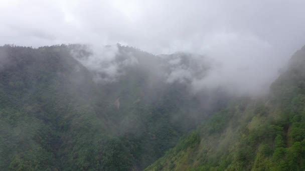Forêt Tropicale Sommet Une Montagne Couverte Brouillard Matin Cordillère Sur — Video