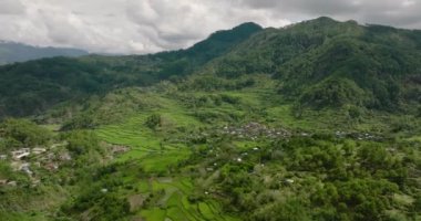 Dağlardaki pirinç teraslarının insansız hava aracı. Dağlardaki tarım arazisi. Filipinler, Luzon.