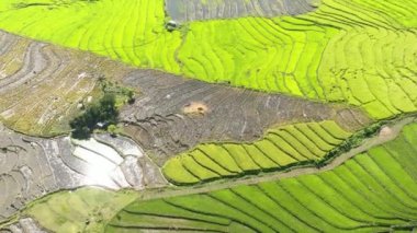 Top view of farmland with rice terraces in the countryside. Negros, Philippines.