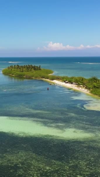 Aerial Drone Island Beautiful Beach Palm Trees Turquoise Water Tanduyong — Stock Video